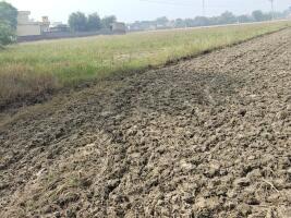 Agriculture Land Gohana