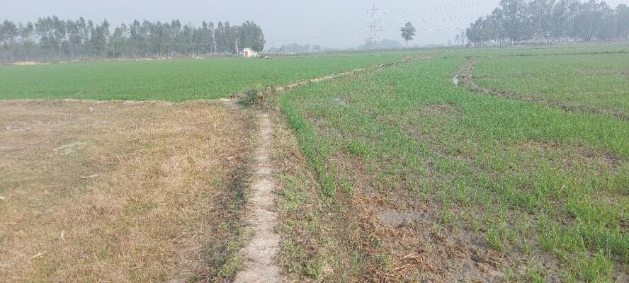 Agriculture Land Jind